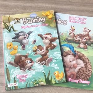 Disney bunnies coloring book lot of 2 Bendon